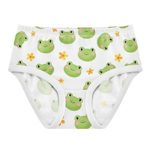 Joisal Flower Toddler Girls Underwear 2t Cotton Panties for Girl Cute Green Frog Smile Florals Briefs Undies Kids