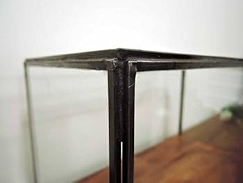 Amazon.co.jp: ガラスコレクション ディスプレイケース ショーケース