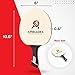 Professional Ping Pong Paddle with Hard Carry Case | Pro Table Tennis Racket | Table Tennis Paddle with Ergonomic Handle | 5 Blades of Wood with Premium Rubber and Sponge by AirBlades