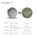 CELEWELL CR2032 3V Lithium Battery (10-Pack)【5-Year Warranty】