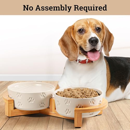 Ceramic Dog Bowls with Stand - Medium Dog Bowl Set with Stand Non-Slip - 2 Ceramic Dishes with Anti-Skid Bamboo Stand for Medium Dogs - Elevated Dog Bowls Set of 2 - Raised Pet Feeding Station by HB Design Co. - Image 5