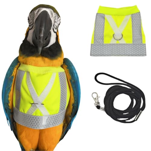 Pet Parrot Bird Harness and Leash, Adjustable Training Design Anti-Bite, Bird Nylon Rope for Parrots, Waterproof and Reflective, Suitable for Macaw Cockatoo Cockatiel Lovebird Conure African Grey (L)