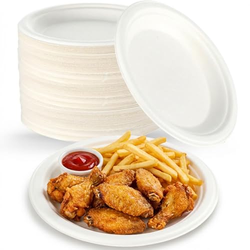 300 Pcs Compostable Paper Plates for Parties