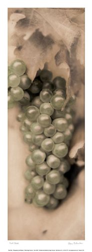 Pinot Blanc by Alan Blaustein 6x16 25 Fine Art Print Poster