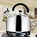 Stainless Steel Whistling Tea Kettle Tea Pot, Tea Kettles Stovetop 4.3Qt Large Capacity, Capsule Base Tea Pots for Stove Top (Silver Tone) by Ecpurchase