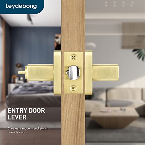 Leydebong 3 Pack Gold Door Handles, Entry Door Levers With Keys Heavy Duty Door Lock Modern Contemporary Design For Home Bedroom Or Bathroom Interior Or Front Exterior Doors #TOP2