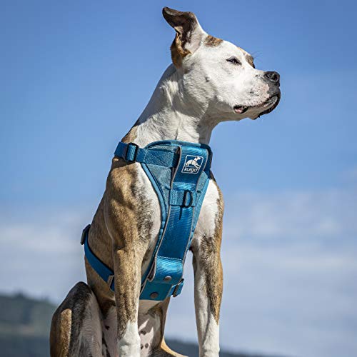 Kurgo TRU-Fit Smart Dog Walking Harness – Bequeme Passform – verstellbares Geschirr – reflektierende Haustierkleidung – Schnellverschluss – Zubehör für den täglichen Spaziergang – inklusive