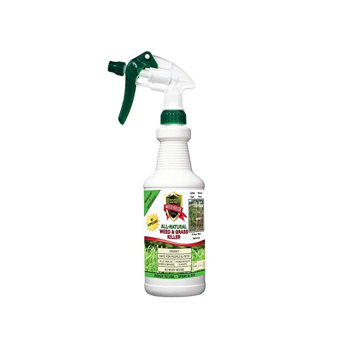 Buy Natural Armor Weed and Grass Killer AllNatural Concentrated