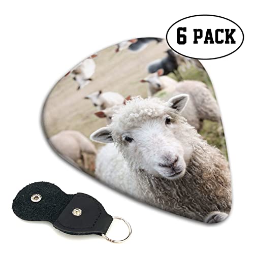 Mignon mouton agneau Lot de 6 médiators pour guitare acoustique, guitare électrique, basse, ukulélé – fin, moyen et… - Les Beatles, Paul McCartney, John Lennon, RIngo Starr, George Harrison Mignon mouton agneau Lot de 6 médiators pour guitare acoustique, guitare électrique, basse, ukulélé – fin, moyen et… – Image 3