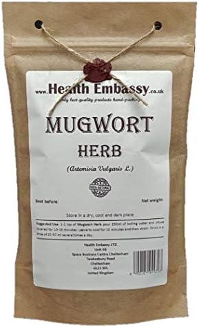 Mugwort Herb Health Embassy