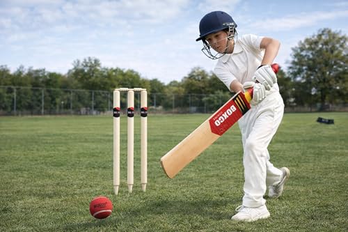 Image of Boxco Velocity Wooden Cricket Kit - Includes 5no Capsule Cricket Bat, 3 Wickets, Heavy Tennis Cricket Ball, 2 Bails & Carry Bag (Age Group 9 to 12)