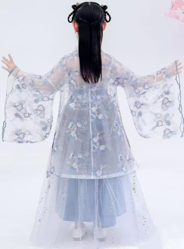 Traditional Chinese Hanfu Dress Set for Girls, Blue Tang Dynasty Princess Dress with Floral Tulle4