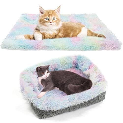 Best Cat Bed Mats