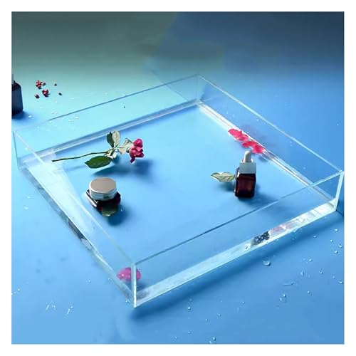 Accessoires de photographie en eau peu profonde transparents de qualité