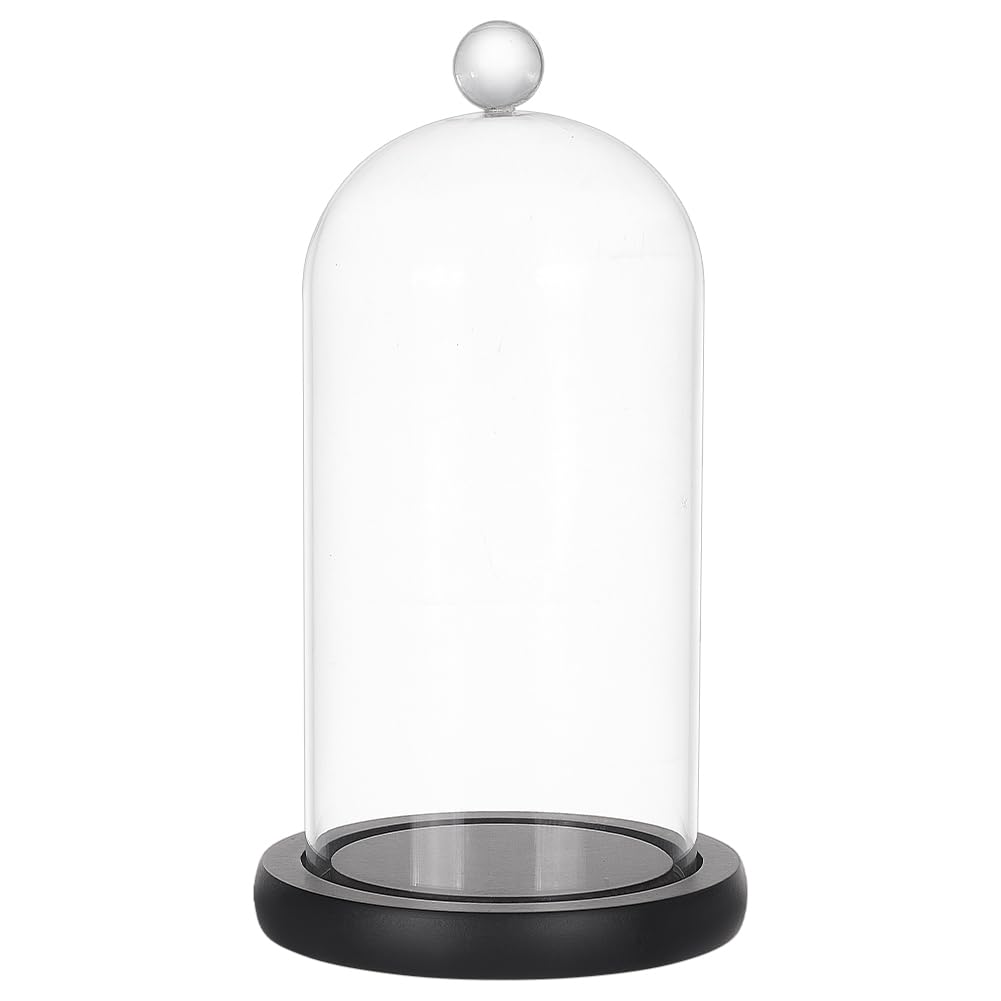 Cloche en verre transparent cadeau idéal pour fleurs éternelles