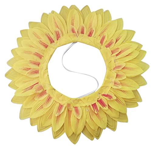 [WYRHXY] Ђ܂ FԂ̔蕨 ʔptH[}X ʔЂ܂̈ߑ ctp̑ANZT[ p[eB[pi Ђ܂ߑ Ђ܂J`[V Ԃ̈ߑptH[}