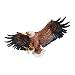 Design Toscano Freedom's Pride American Bald Eagle Patriotic Wall Sculpture, Large 31 Inch, Polyresin, Full Color