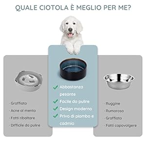 SPUNKYJUNKY Ciotola in Ceramica per Cani e Gatti con Supporto in Bambù, Rialzata, 2 Pezzi, 400ml
 - immagine 2