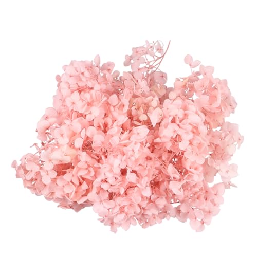 Natural Fresh Preserved Hydrangea Petals 1 Pack miniatura 1