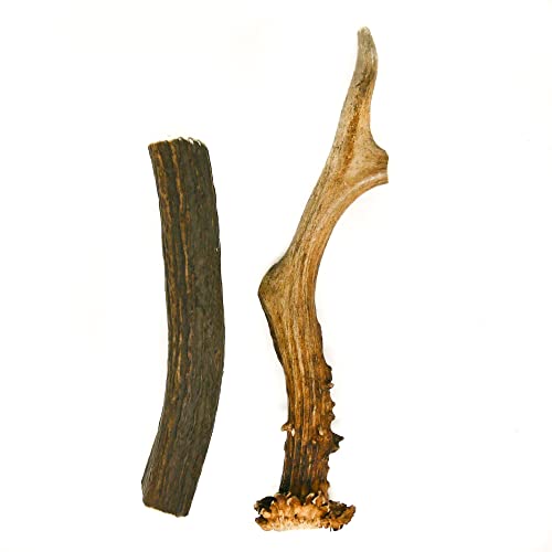 RF-DEER Jeu de Bois de cerf Naturel à mâcher pour Chiens | Jouet en os et friandise | Chevreuil et cerf | Collation Naturelle, sûre et Saine pour Votre Chien | Dur | 2 pcs | L | 70 g | 13-22 cm Cover