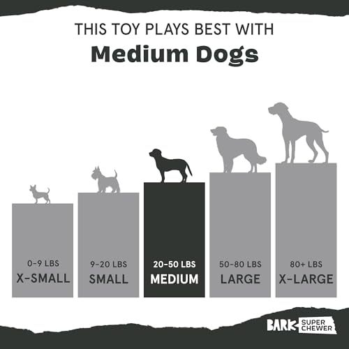Image of BarkBox Franz The Fox Dog Toy | Natural Rubber, Bacon Scented, Thrashy Tail & Wacky Bounce | Dog Toy for Aggressive Chewers