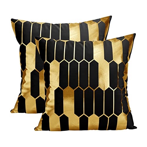 Idocolors Lot de 2 Housses de Coussin en Velours Noir 45 x 45 cm Taies d'oreiller Décoratives à Motif Doré Doux et élégant, pour Salon et Chambre à Coucher Cover