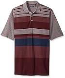 Arrow Men's Big and Tall Short Sleeve Multi-Stripe Polo Shirt
