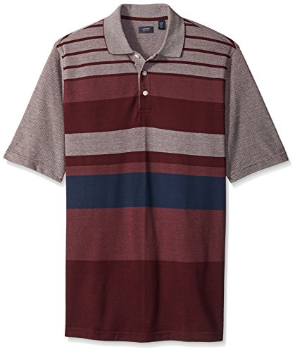 Arrow Men's Big and Tall Short Sleeve Multi-Stripe Polo Shirt