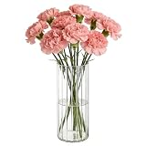 Koelaa Vase en Acrylique Côtelé pour Fleurs Naturelles et Artificielles   Vase Cylindrique en Plastique Incassable   Vases Transparent Moderne pour Salon, Chambre à Coucher, Scandinave   10x30cm