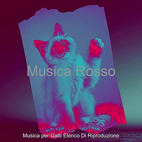  Gattini - Rosso