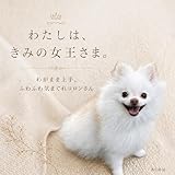 わたしはきみの女王さま: わがまま上手、ふわふわ気まぐれコロンさん (藤乃瀬書房)