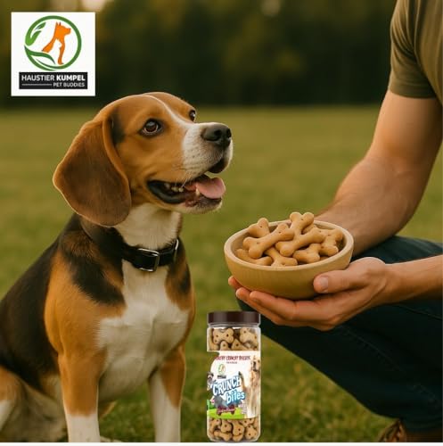 Image of Wheat-Free Veg Dog Biscuits - Healthy Crunchy Biscuits Treats for Dogs of All Breeds and Sizes - Vegetarian Snacks for Puppies, Adults & Seniors (800g)