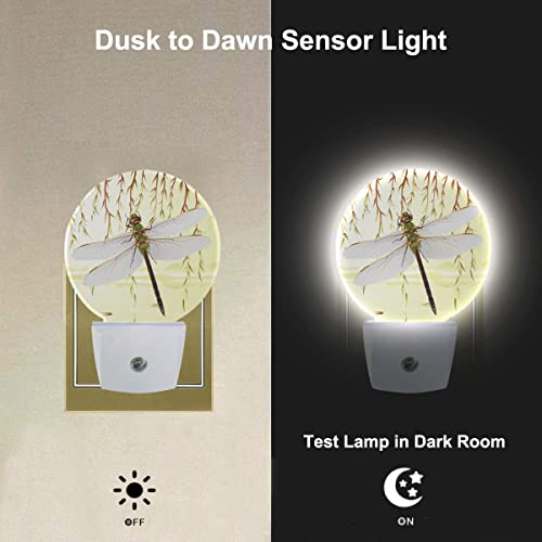 Image of Retro Dragonfly Night Lights Plug into Wall Weeping Willows by The River Dragonfly Decorative Night Light Dusk to Dawn LED Lighting for Bedroom Bathroom Living Room