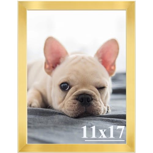 RUN HELIX 11x17 Picture Frames,Simple Designed Photo Frame,Certificate Document Frame for Horizontal and Vertical Formats,11x17 Poster Photo Frame Wall Gallery Home Office Decor,Gold
