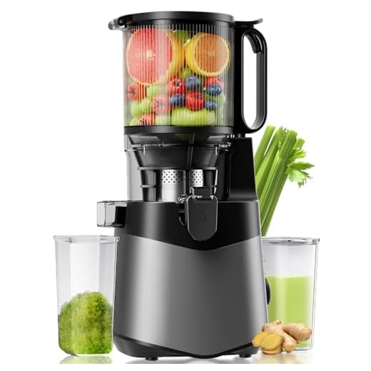 Cold Press Juicer, 5.3" Wide Feed Chute Juice Extractor Machine with 400W, High Juice Yield, Slow Masticating Juicer for Whole Vegetables & Fruits, Deep Grey