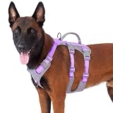 Huntboo 犬 ハーネス 小型犬 中型犬 犬用ハーネス 引っ張り防止 抜けない サイズ調整可能 夜間反射 咳き込み防止 歩行補助 訓練 散歩 大型犬 柴犬 (パープル,L)