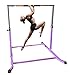 Pro-Gymnastics Gymnastics Kip Bar Horizontal Bar Professional Junior Gymnastic Training High Bar Asymmetric Bar 13 Level Height Adjustable Expandable 3 to 5 FT Cushioned Bar & Curved Legs (Purple)