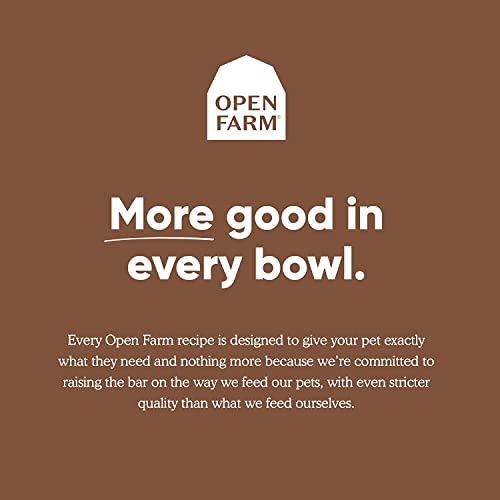 Open Farm Pasture-Raised Lamb Grain-Free Dry Cat Food, Humanely Raised Lamb Recipe With Non-Gmo Superfoods And No Artificial Flavors Or Preservatives, 2 Lbs #TOP1