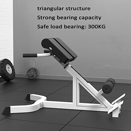 41371vkBFRL LIWA Roman Chair Adjustable Roman Stool Abdominal Exerciser Leg Press Machine Push-up Trainer Maximum Load: 300KG… - Image 5