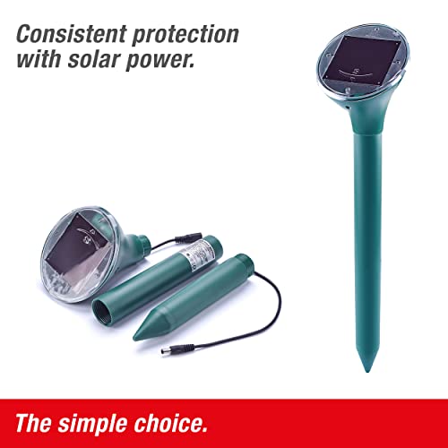 SWISSINNO Scaccia Talpe e Roditori Solare h 450 Swissinno - 4