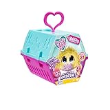 Scruff-a-Luvs Mini Scruff Sammlerstück