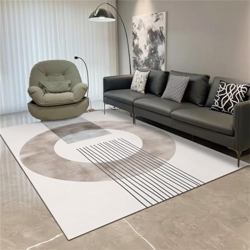 Tapis rectangulaire petit canapé lavable pour éliminer les taches du salon - 2