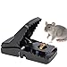Armo® 6 x Plastic Rat Mouse Trap Rodent Mouse Trap Armo® 6 x Plastic Rat Mouse Trap Rodent Mouse Trap