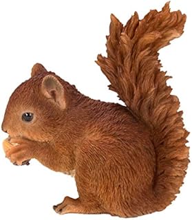 Real Life Baby Red Squirrel | Resin Home or Garden Decoration | XRL-RS01-F