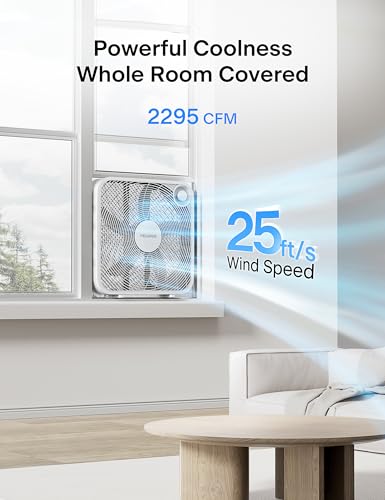 View 3