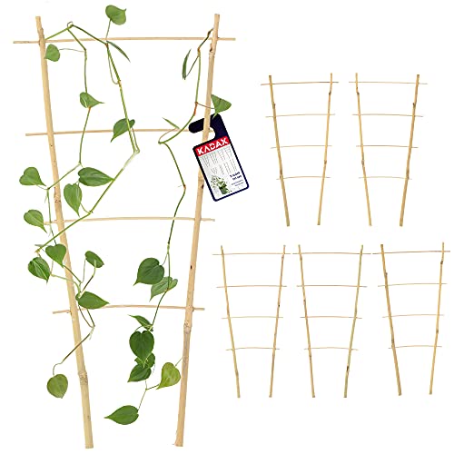KADAX Lot de 5 échelles en bambou - Échelle de soutien pour fleurs - Support pour plantes de jardin en bambou - Treillis en forme de V - Support d'escalade (h : 43 cm, double)