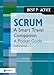 Scrum: A Pocket Guide: A Smart Travel Companion (Best Practice (Van Haren Publishing))