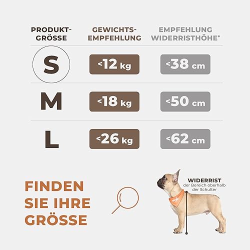 Wuglo Extra Stabiler Hunde Autositz mit Sicherheitsgurt – Wasserdichter und Robuster Autositz Hund für den Rücksitz mit 4 Befestigungsgurten, geeignet für kleine Hunde bis 12 kg