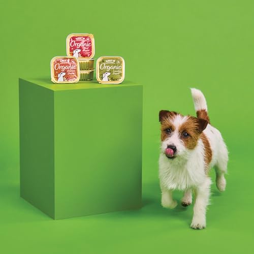Lily's Kitchen Mit natürlichen Zutaten hergestellt Nassfutter für ausgewachsene Hunde Hundefutter Schale Bio- Lamm 11 x 150g