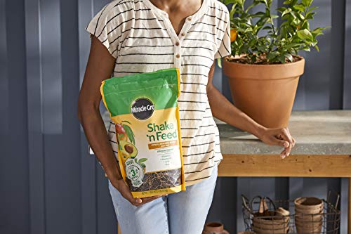 Miracle-Gro Shake 'N Feed Citrus, Avocado, Mango Plant Food, 8 lb. - Image 4